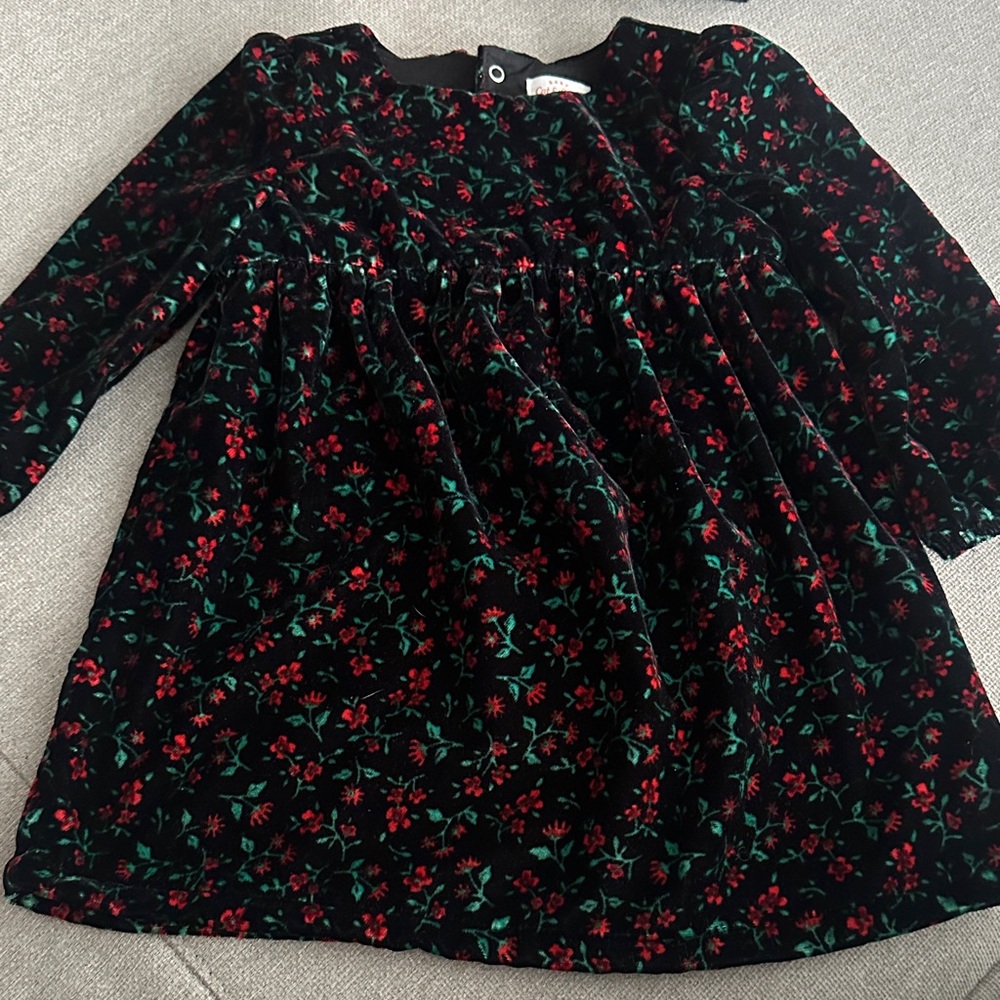 Cat & Jack Black Dress with Red and Green Floral Pattern